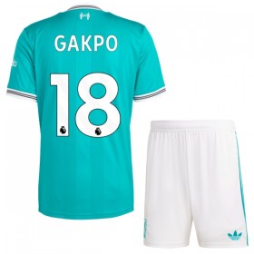 Goedkope Liverpool Gakpo 18 Kids Third Tenue 2025-26